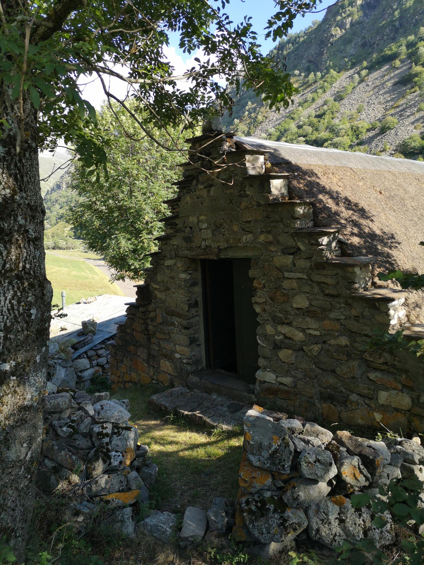 Img 20220802 183454